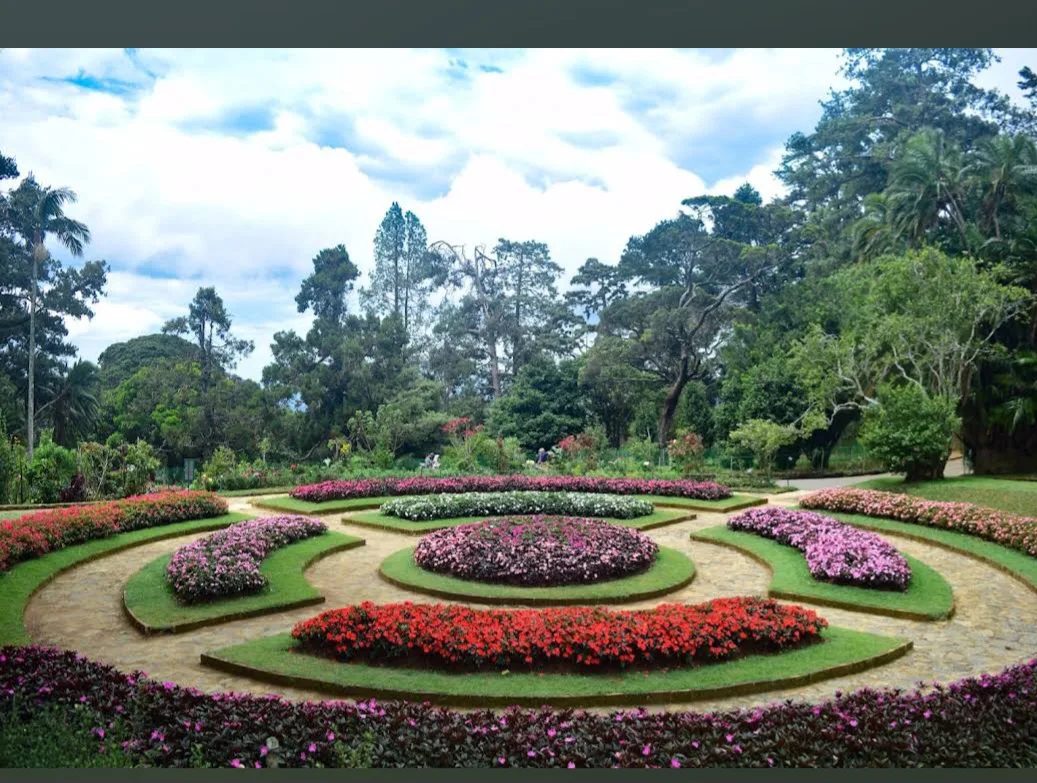 Consultation garden, Pink Health